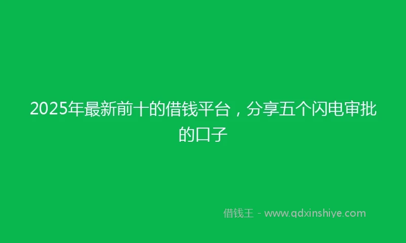 2025年最新前十的借钱平台，分享五个闪电审批的口子