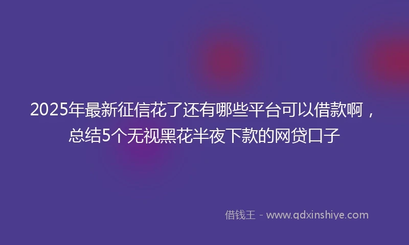 2025年最新征信花了还有哪些平台可以借款啊，总结5个无视黑花半夜下款的网贷口子