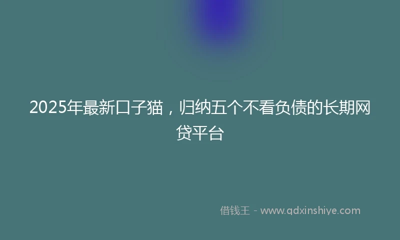 2025年最新口子猫，归纳五个不看负债的长期网贷平台