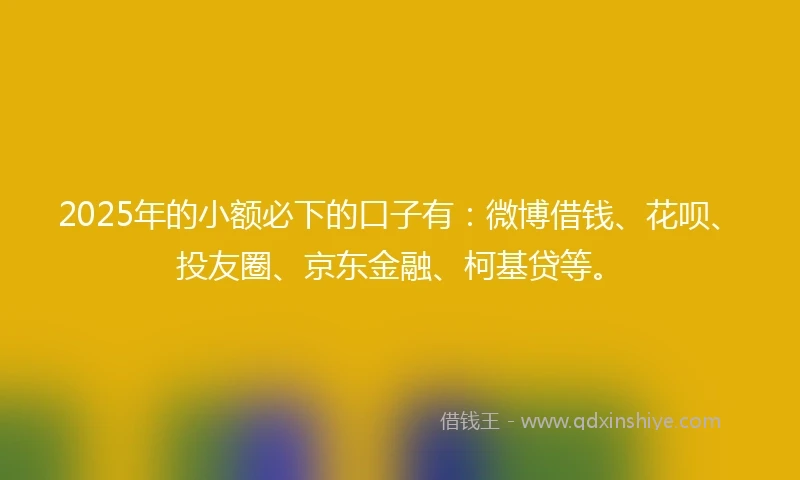 2025年的小额必下的口子有：微博借钱、花呗、投友圈、京东金融、柯基贷等。