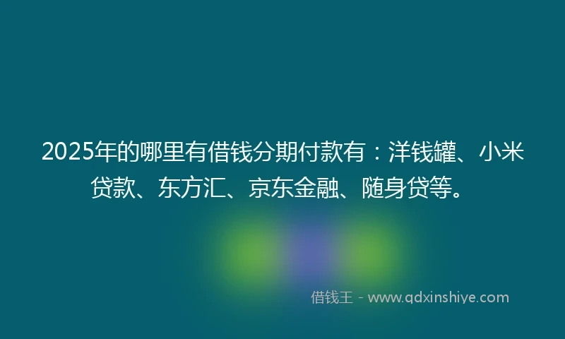 2025年的哪里有借钱分期付款有：洋钱罐、小米贷款、东方汇、京东金融、随身贷等。