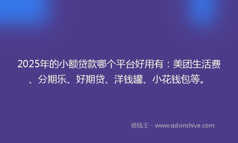2025年的小额贷款哪个平台好用有：美团生活费、分期乐、好期贷、洋钱罐、小花钱包等。