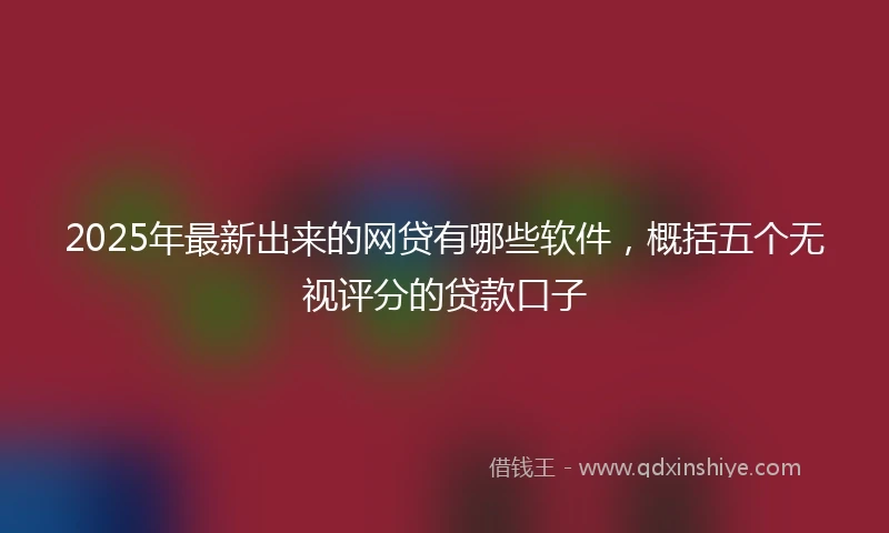 2025年最新出来的网贷有哪些软件，概括五个无视评分的贷款口子