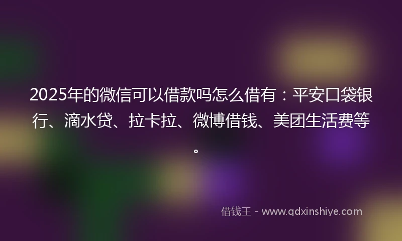 2025年的微信可以借款吗怎么借有：平安口袋银行、滴水贷、拉卡拉、微博借钱、美团生活费等。