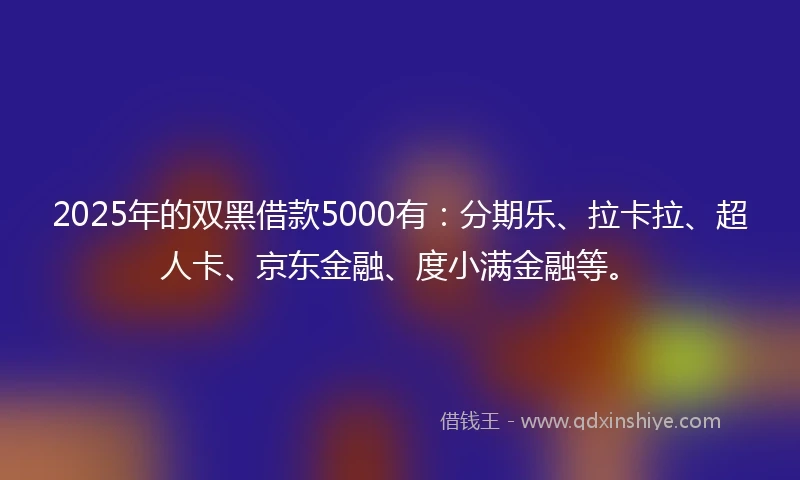 2025年的双黑借款5000有：分期乐、拉卡拉、超人卡、京东金融、度小满金融等。