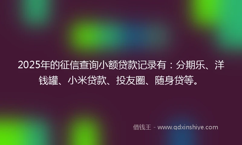 2025年的征信查询小额贷款记录有：分期乐、洋钱罐、小米贷款、投友圈、随身贷等。