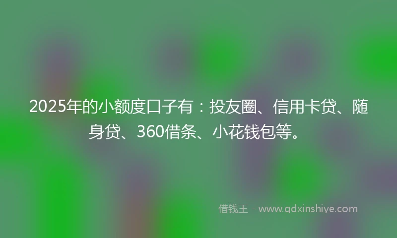 2025年的小额度口子有：投友圈、信用卡贷、随身贷、360借条、小花钱包等。