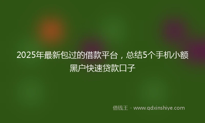 2025年最新包过的借款平台，总结5个手机小额黑户快速贷款口子