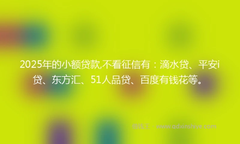 2025年的小额贷款,不看征信有：滴水贷、平安i贷、东方汇、51人品贷、百度有钱花等。