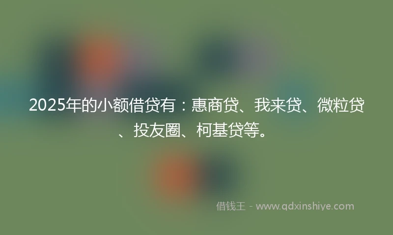 2025年的小额借贷有：惠商贷、我来贷、微粒贷、投友圈、柯基贷等。