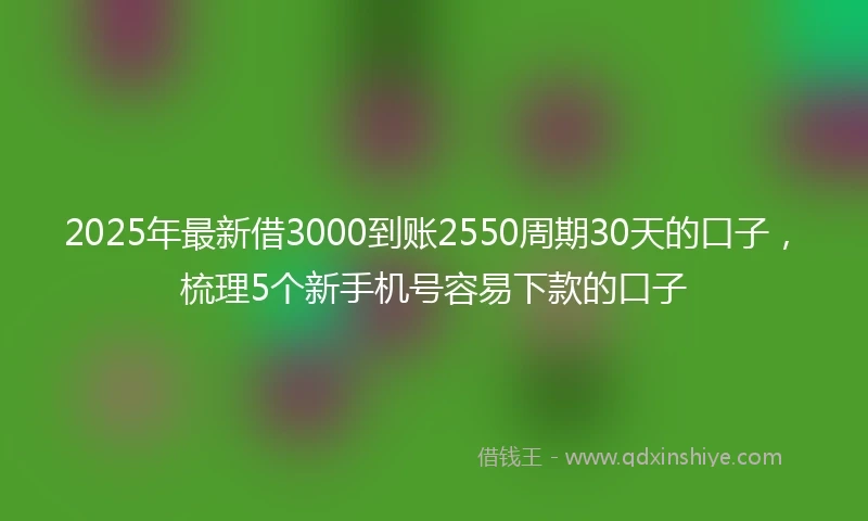 2025年最新借3000到账2550周期30天的口子，梳理5个新手机号容易下款的口子