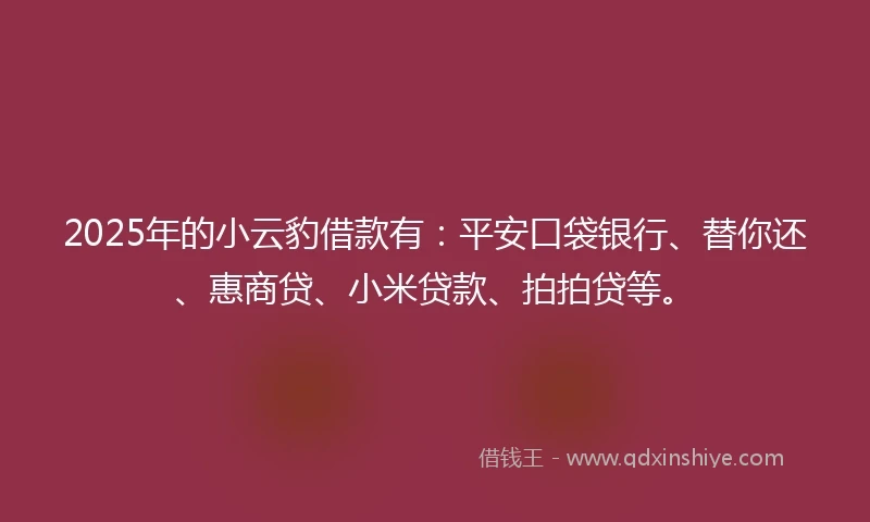 2025年的小云豹借款有：平安口袋银行、替你还、惠商贷、小米贷款、拍拍贷等。