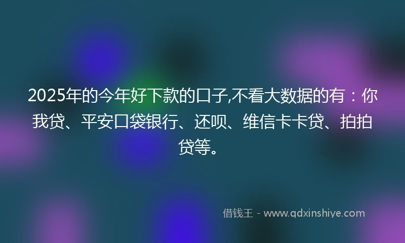 2025年的今年好下款的口子,不看大数据的有：你我贷、平安口袋银行、还呗、维信卡卡贷、拍拍贷等。