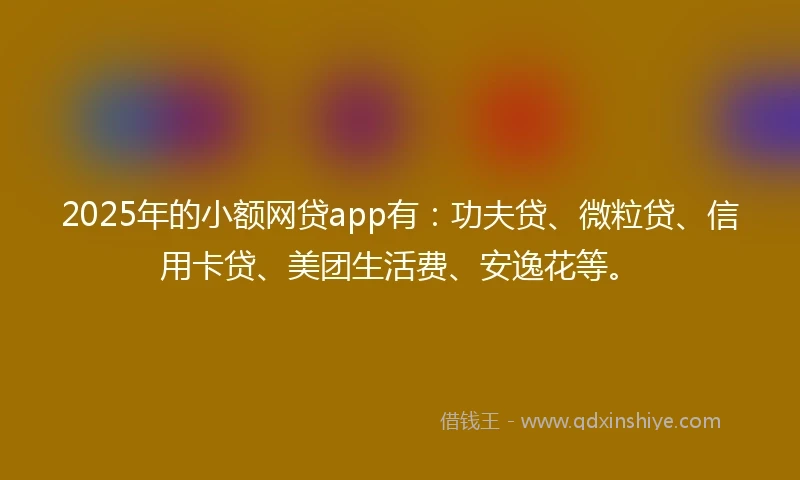 2025年的小额网贷app有：功夫贷、微粒贷、信用卡贷、美团生活费、安逸花等。