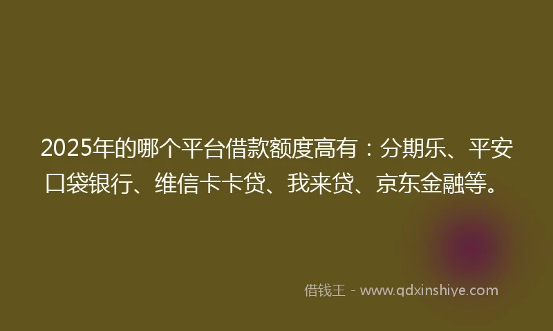 2025年的哪个平台借款额度高有：分期乐、平安口袋银行、维信卡卡贷、我来贷、京东金融等。