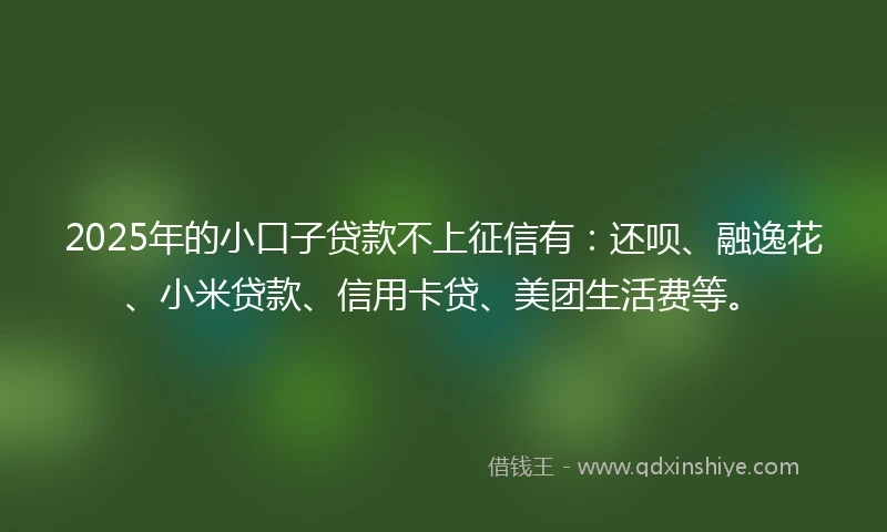 2025年的小口子贷款不上征信有：还呗、融逸花、小米贷款、信用卡贷、美团生活费等。