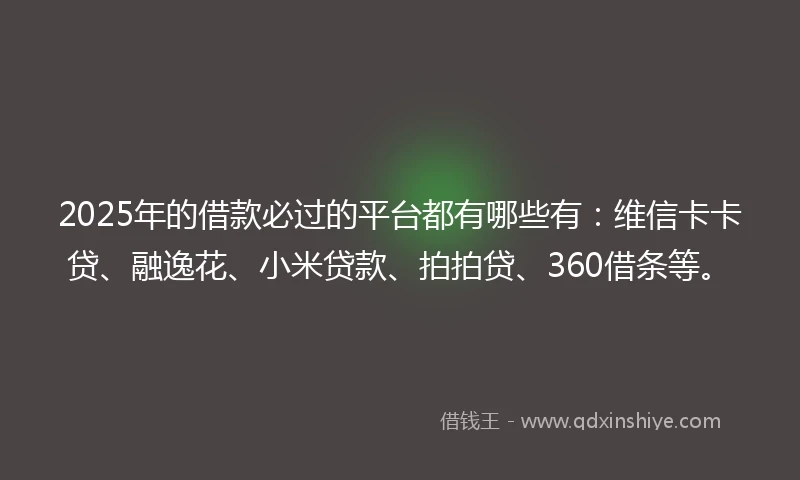 2025年的借款必过的平台都有哪些有：维信卡卡贷、融逸花、小米贷款、拍拍贷、360借条等。