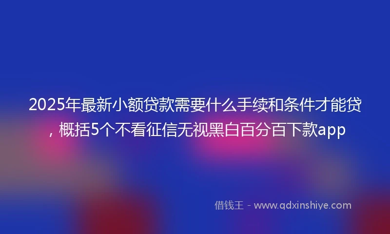 2025年最新小额贷款需要什么手续和条件才能贷，概括5个不看征信无视黑白百分百下款app