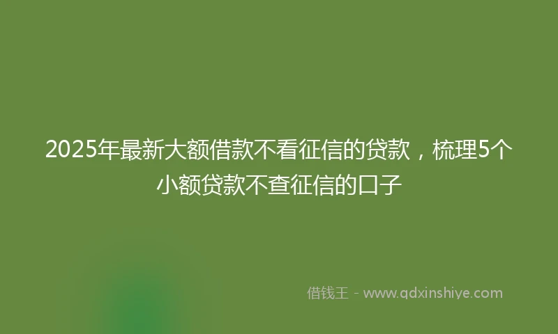 2025年最新大额借款不看征信的贷款，梳理5个小额贷款不查征信的口子