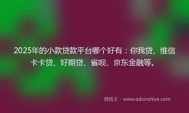 2025年的小款贷款平台哪个好有：你我贷、维信卡卡贷、好期贷、省呗、京东金融等。