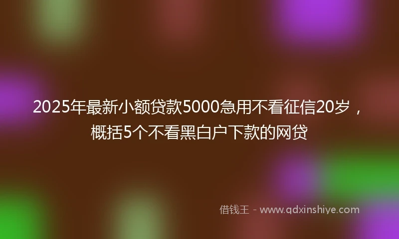 2025年最新小额贷款5000急用不看征信20岁，概括5个不看黑白户下款的网贷