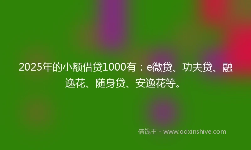 2025年的小额借贷1000有：e微贷、功夫贷、融逸花、随身贷、安逸花等。