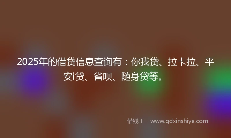 2025年的借贷信息查询有：你我贷、拉卡拉、平安i贷、省呗、随身贷等。
