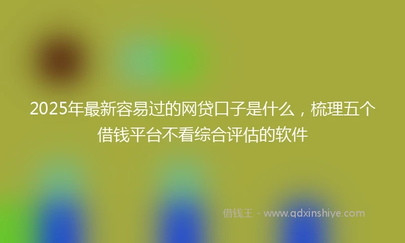 2025年最新容易过的网贷口子是什么，梳理五个借钱平台不看综合评估的软件