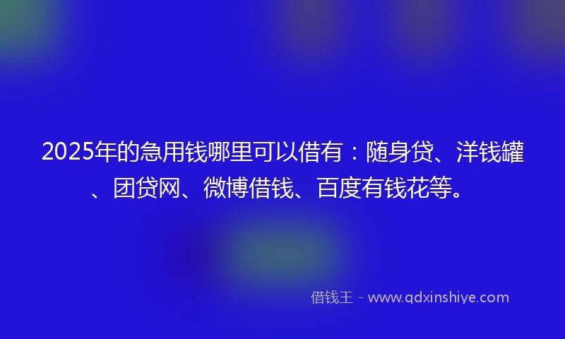 2025年的急用钱哪里可以借有：随身贷、洋钱罐、团贷网、微博借钱、百度有钱花等。