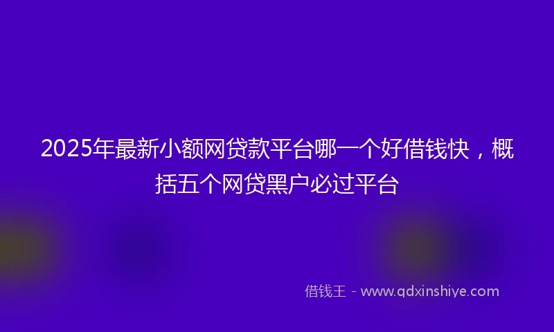 2025年最新小额网贷款平台哪一个好借钱快，概括五个网贷黑户必过平台