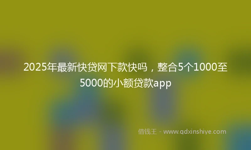 2025年最新快贷网下款快吗，整合5个1000至5000的小额贷款app