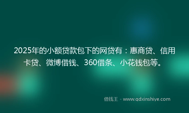 2025年的小额贷款包下的网贷有：惠商贷、信用卡贷、微博借钱、360借条、小花钱包等。