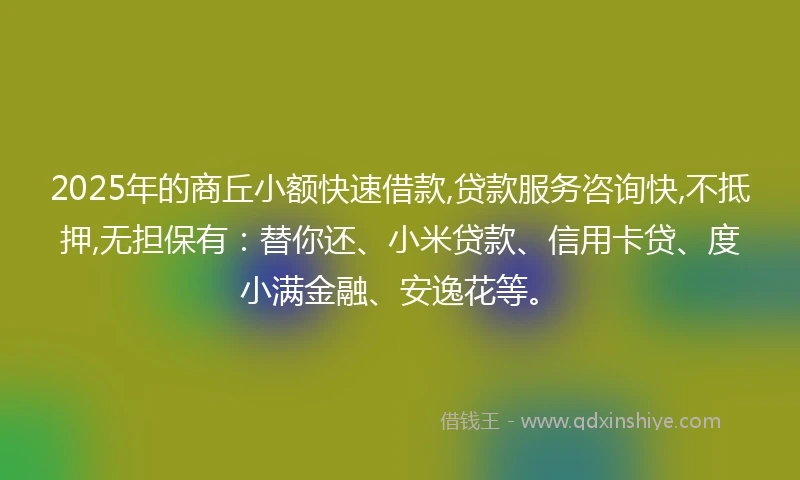 2025年的商丘小额快速借款,贷款服务咨询快,不抵押,无担保有：替你还、小米贷款、信用卡贷、度小满金融、安逸花等。