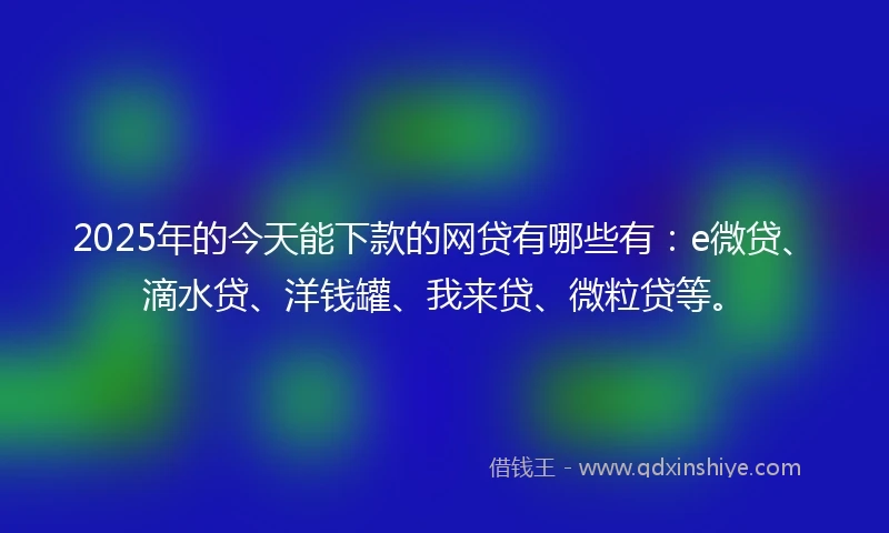 2025年的今天能下款的网贷有哪些有：e微贷、滴水贷、洋钱罐、我来贷、微粒贷等。