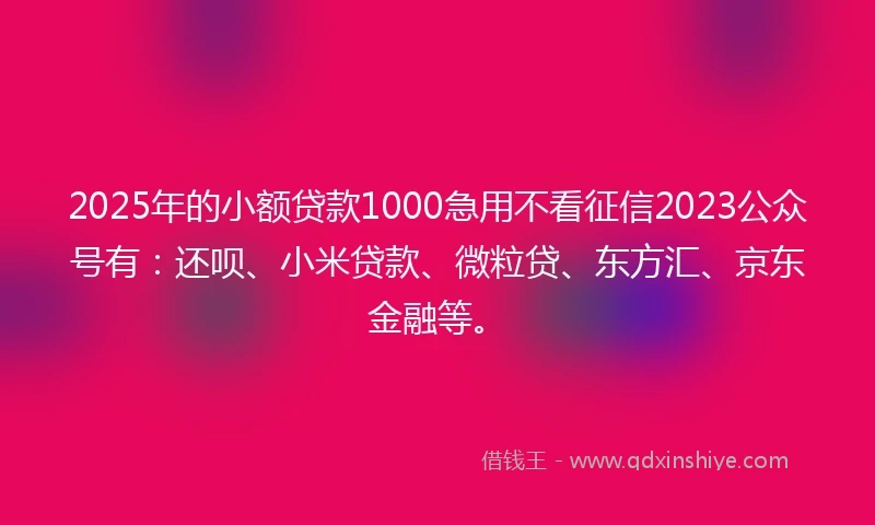 2025年的小额贷款1000急用不看征信2023公众号有：还呗、小米贷款、微粒贷、东方汇、京东金融等。