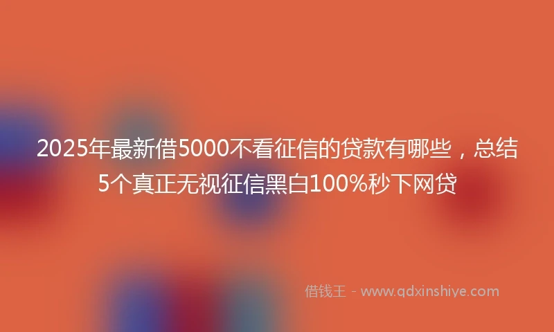 2025年最新借5000不看征信的贷款有哪些，总结5个真正无视征信黑白100%秒下网贷