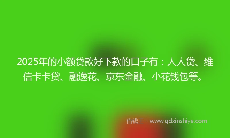 2025年的小额贷款好下款的口子有：人人贷、维信卡卡贷、融逸花、京东金融、小花钱包等。