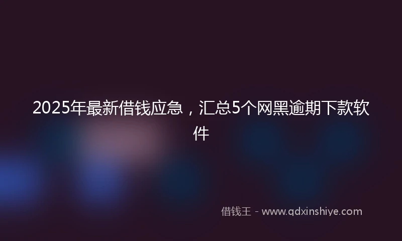 2025年最新借钱应急，汇总5个网黑逾期下款软件
