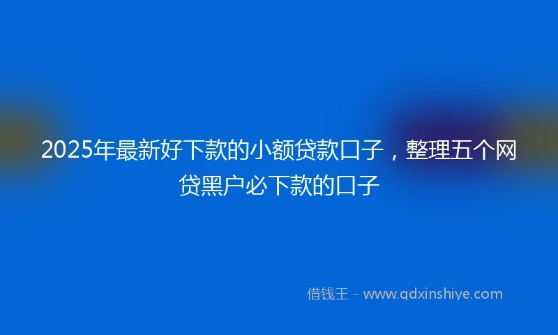 2025年最新好下款的小额贷款口子，整理五个网贷黑户必下款的口子