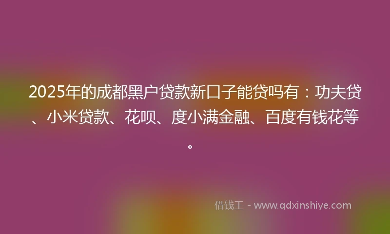 2025年的成都黑户贷款新口子能贷吗有：功夫贷、小米贷款、花呗、度小满金融、百度有钱花等。