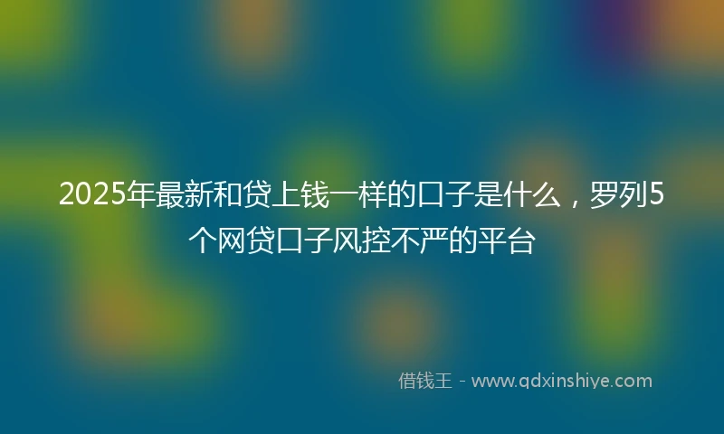 2025年最新和贷上钱一样的口子是什么，罗列5个网贷口子风控不严的平台