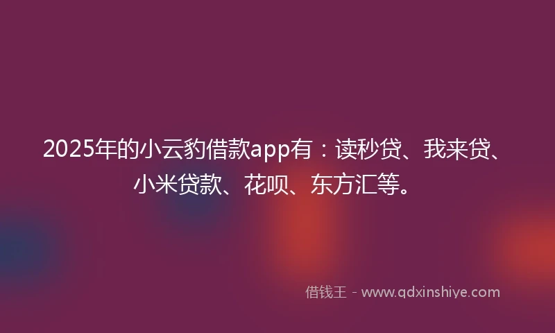 2025年的小云豹借款app有：读秒贷、我来贷、小米贷款、花呗、东方汇等。