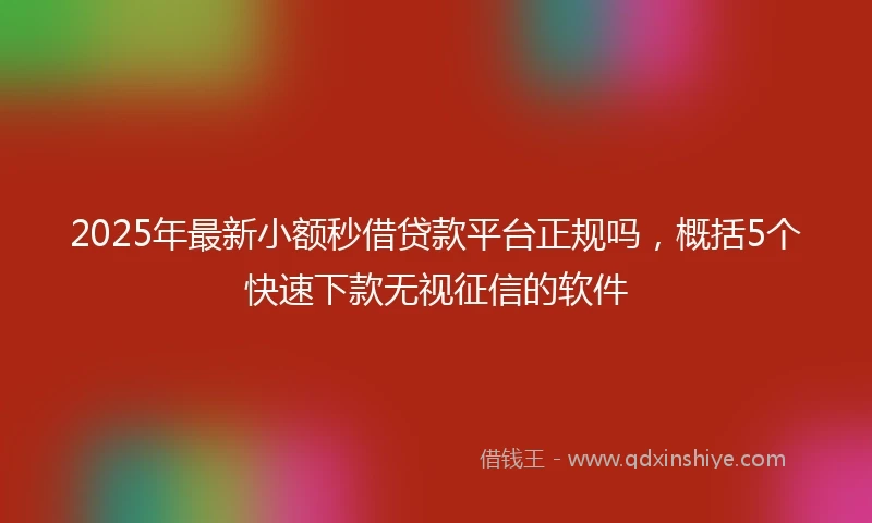 2025年最新小额秒借贷款平台正规吗，概括5个快速下款无视征信的软件