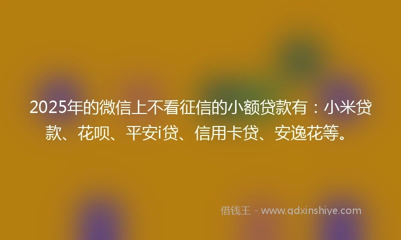2025年的微信上不看征信的小额贷款有：小米贷款、花呗、平安i贷、信用卡贷、安逸花等。