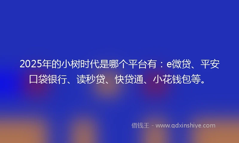 2025年的小树时代是哪个平台有：e微贷、平安口袋银行、读秒贷、快贷通、小花钱包等。