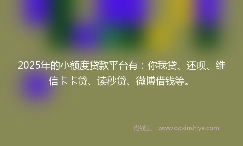 2025年的小额度贷款平台有：你我贷、还呗、维信卡卡贷、读秒贷、微博借钱等。