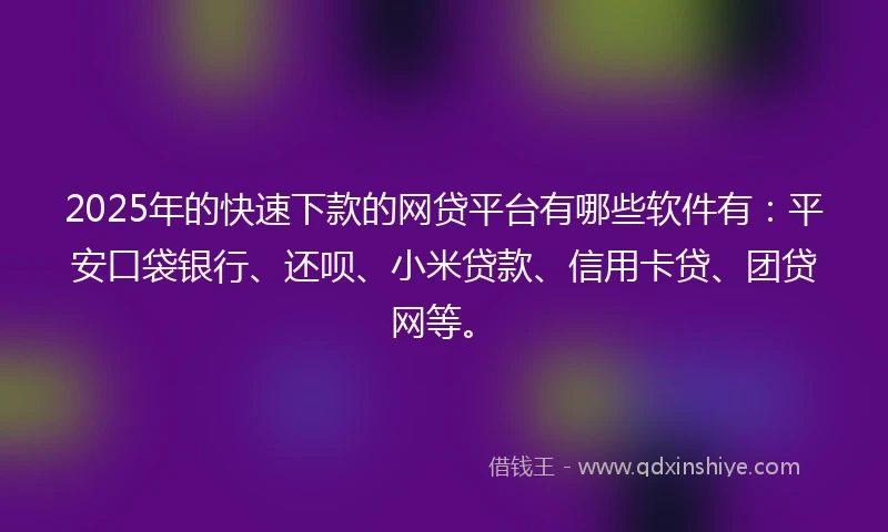 2025年的快速下款的网贷平台有哪些软件有：平安口袋银行、还呗、小米贷款、信用卡贷、团贷网等。