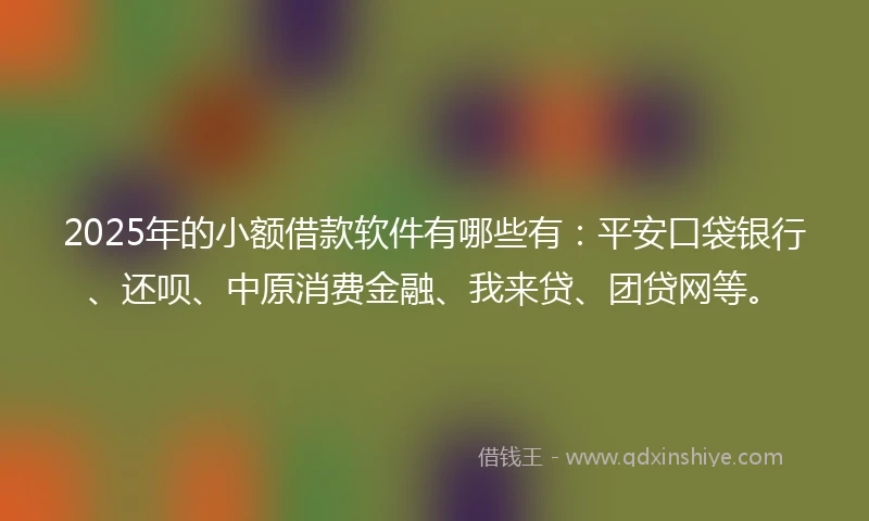 2025年的小额借款软件有哪些有：平安口袋银行、还呗、中原消费金融、我来贷、团贷网等。
