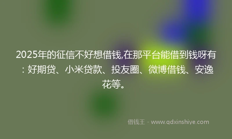 2025年的征信不好想借钱,在那平台能借到钱呀有：好期贷、小米贷款、投友圈、微博借钱、安逸花等。