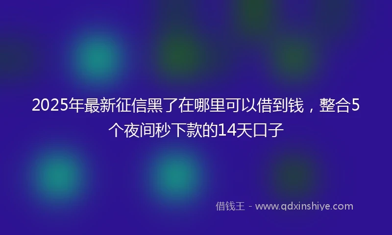 2025年最新征信黑了在哪里可以借到钱，整合5个夜间秒下款的14天口子